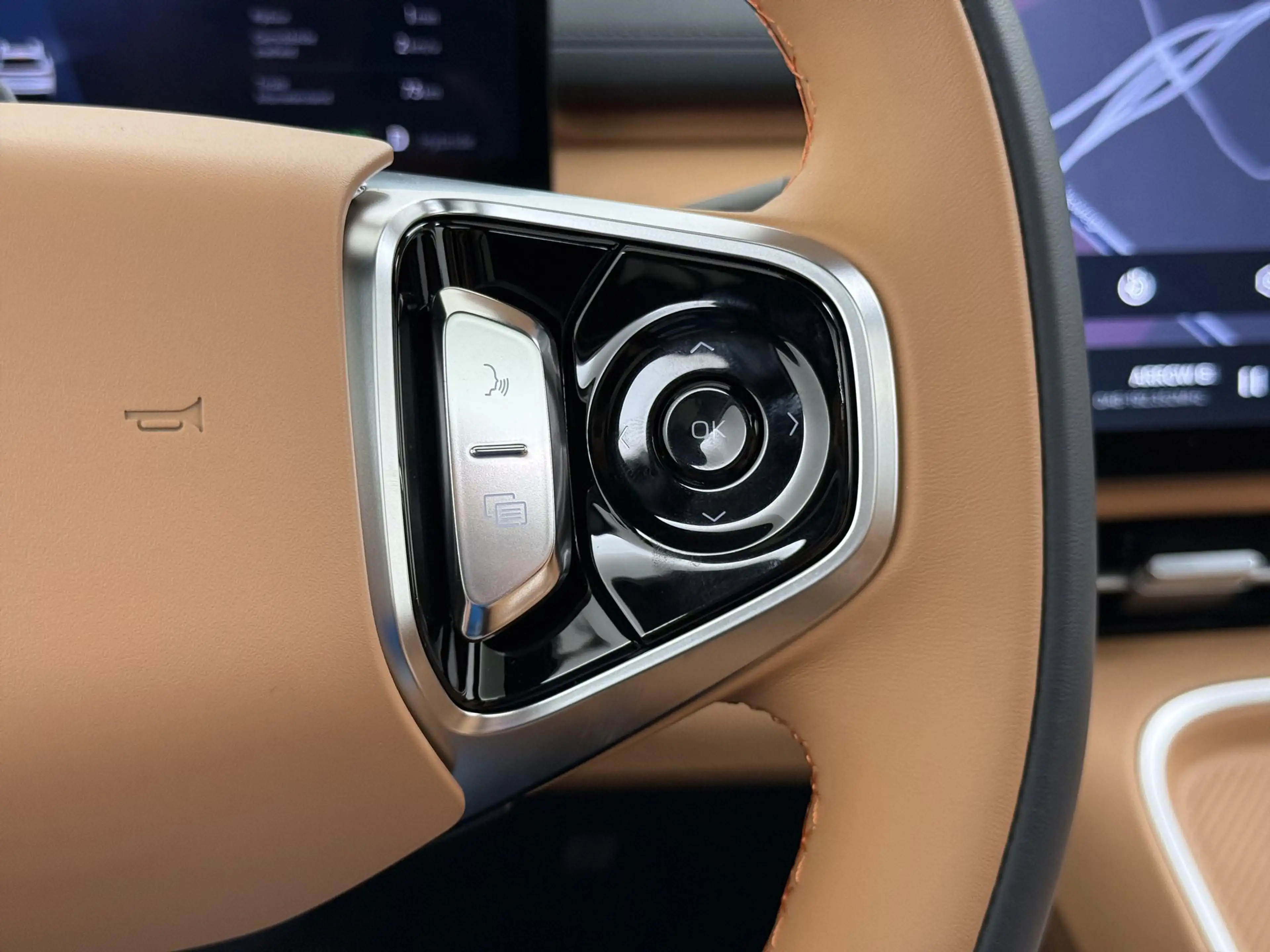 Geely Starray EM-i 1.5 Max+ 136KM Elektrisch/Pano/Massage/Leder/Direc — photo 28