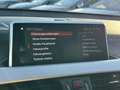 BMW X2 M Sport sDrive 18 d+ACC+Ambiente+Leder+Navi Gris - thumbnail 39