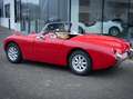 Austin-Healey Sprite Frogeye Rot - thumbnail 12