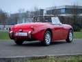 Austin-Healey Sprite Frogeye Rot - thumbnail 4