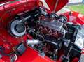 Austin-Healey Sprite Frogeye Rot - thumbnail 5