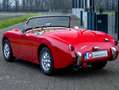 Austin-Healey Sprite Frogeye Rot - thumbnail 10
