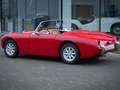 Austin-Healey Sprite Frogeye Rot - thumbnail 11