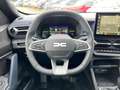 Dacia Duster TCe 100 ECO-G Journey+SHZ+Klimaauto+RFK diverse PK Grau - thumbnail 10