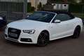 Audi A5 Cabrio S-Line|Bi-Xenon|Alcantara|Si-Hzg|Tempo Weiß - thumbnail 1