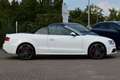 Audi A5 Cabrio S-Line|Bi-Xenon|Alcantara|Si-Hzg|Tempo Weiß - thumbnail 21