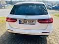 Mercedes-Benz E 220 E220d MBUX DISTRONIC AHK KAMERA 1HAND TÜV 01/26 Blanc - thumbnail 6