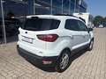 Ford EcoSport 1.0 EcoBoost TITANIUM Blanc - thumbnail 6