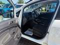Ford EcoSport 1.0 EcoBoost TITANIUM Blanc - thumbnail 10