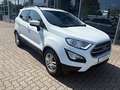 Ford EcoSport 1.0 EcoBoost TITANIUM Blanc - thumbnail 7