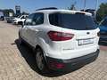 Ford EcoSport 1.0 EcoBoost TITANIUM Blanc - thumbnail 3