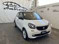 smart forFour forfour 70 1.0 Prime GPL TUA DA 149,00 EURO AL ME Bianco - thumbnail 2
