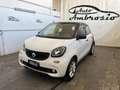 smart forFour forfour 70 1.0 Prime GPL TUA DA 149,00 EURO AL ME Bianco - thumbnail 1