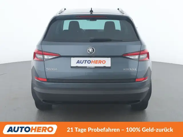 Skoda Kodiaq view 5