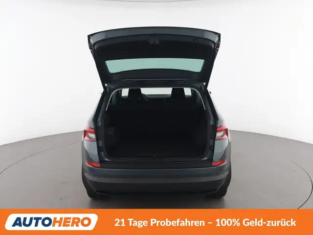 Skoda Kodiaq view 16