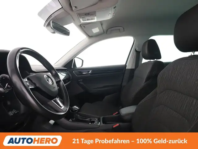 Skoda Kodiaq view 10