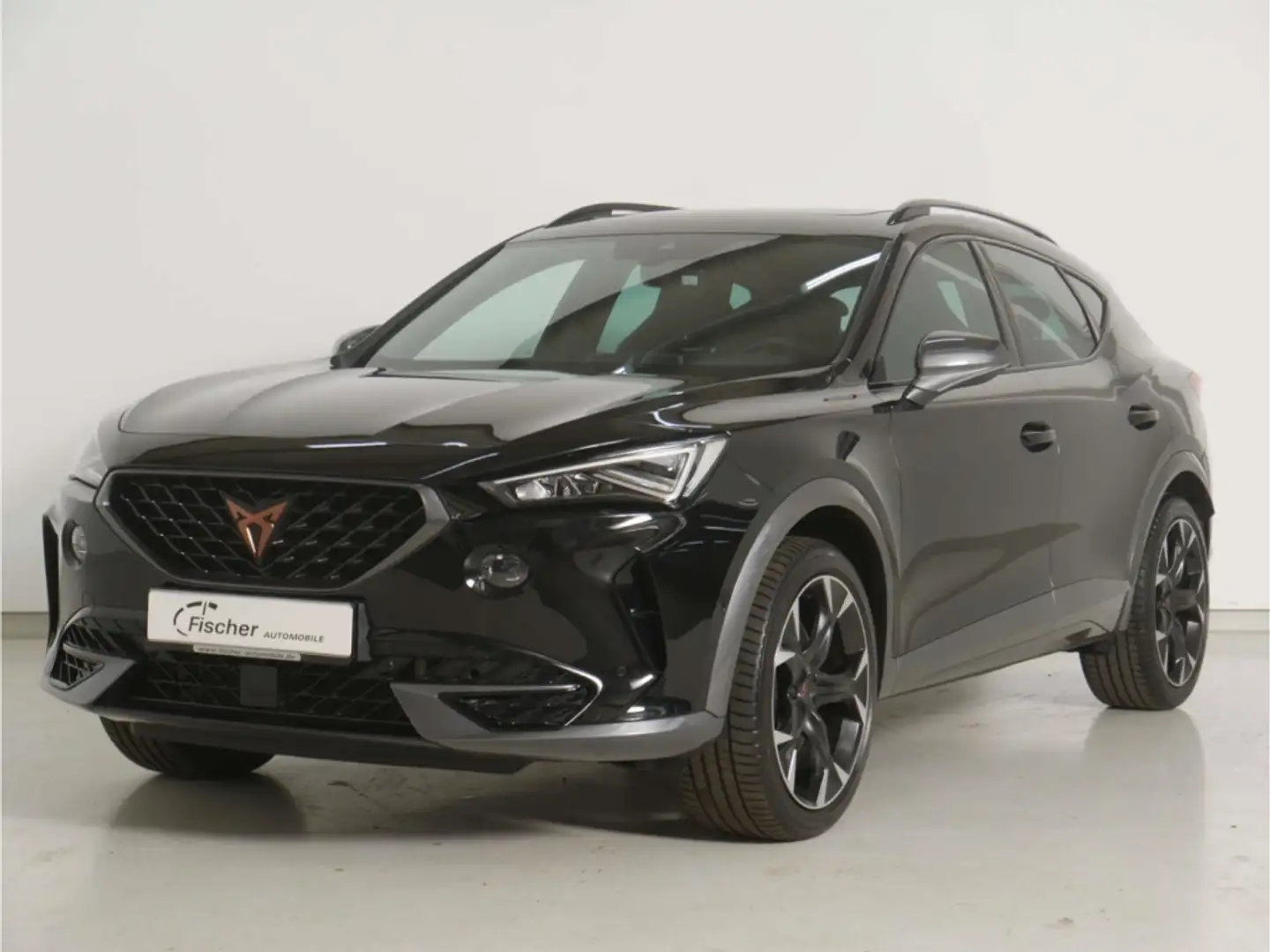 CUPRA Formentor 2.0 TSI DSG 4Dr.VZ P-Dach/NAV/ACC/RFK Zwart - 2