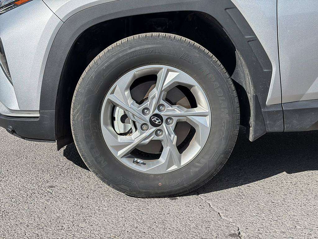 Image 10