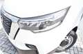 Nissan Primastar van 30 2.0 dci 130cv S&S L2H1 Acenta my24 - Bianco - thumbnail 17