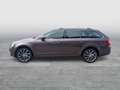 Skoda Octavia Style TDI DSG Braun - thumbnail 4
