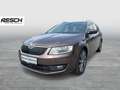 Skoda Octavia Style TDI DSG Braun - thumbnail 1