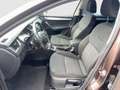 Skoda Octavia Style TDI DSG Braun - thumbnail 5