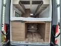Carado CV 590 4x4 Edition 15 Markise AHK Klima Xenon Grau - thumbnail 23