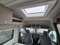 Carado CV 590 4x4 Edition 15 Markise AHK Klima Xenon Grau - thumbnail 21