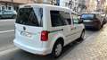 Volkswagen Caddy Caddy 2.0 TDi SCR Dark 7 PL 12 mois de garantie Blanc - thumbnail 4