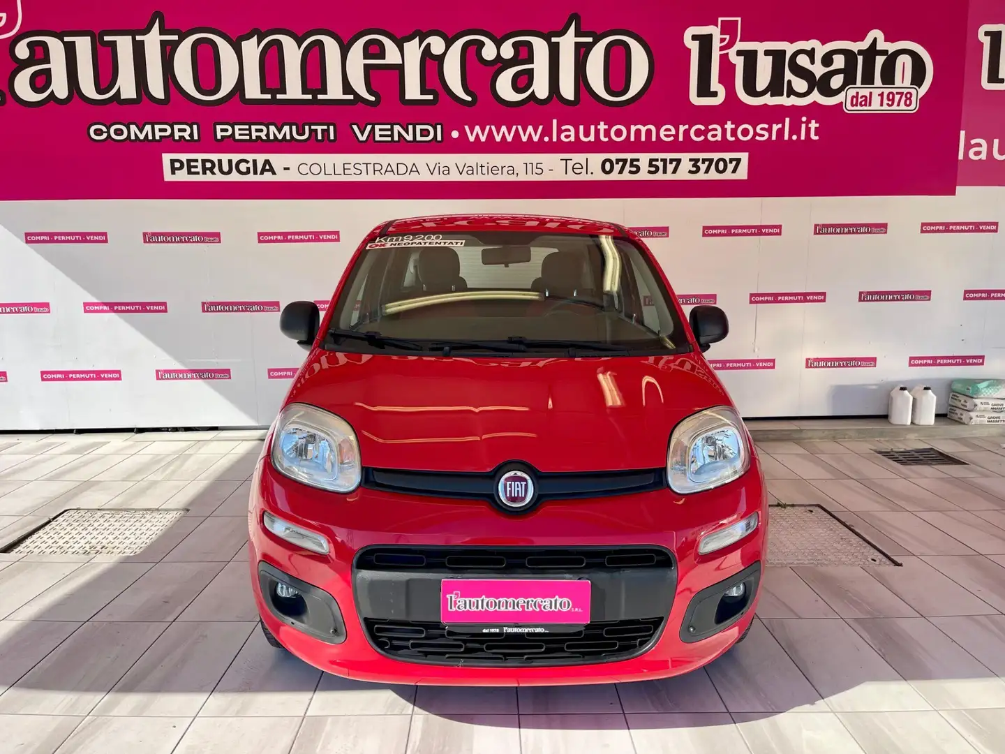 Fiat Panda Panda 1.2 Easy Rosso - 2