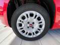 Fiat Panda Panda 1.2 Easy Rosso - thumbnail 5