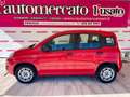 Fiat Panda Panda 1.2 Easy Rosso - thumbnail 3