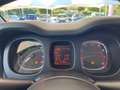 Fiat Panda Panda 1.2 Easy Rosso - thumbnail 8