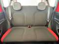 Fiat Panda Panda 1.2 Easy Rosso - thumbnail 12