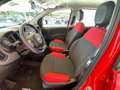 Fiat Panda Panda 1.2 Easy Rosso - thumbnail 9