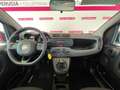 Fiat Panda Panda 1.2 Easy Rosso - thumbnail 6