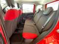 Fiat Panda Panda 1.2 Easy Rosso - thumbnail 11