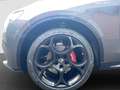 Alfa Romeo Stelvio Veloce 2.2D Q4 eAHK+Techno-Paket Grau - thumbnail 20