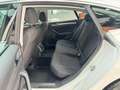 Volkswagen Arteon Basis 2.0 TDI |AHK|WHITE|LED|PDC|SHZG Weiß - thumbnail 18