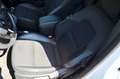 Renault Kangoo VAN 1.5 blue dci 115cv edc IVA ESCLUSA, PERMUTE Bianco - thumbnail 12
