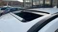 Kia Niro 1.6 GDI HEV EMOTION 141 5P Wit - thumbnail 22