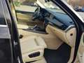 BMW X5 xdrive30d Business 258cv auto Marrone - thumbnail 5