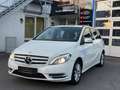 Mercedes-Benz B 180 (Automatik-NAVI-AHK-LED) Blanc - thumbnail 3