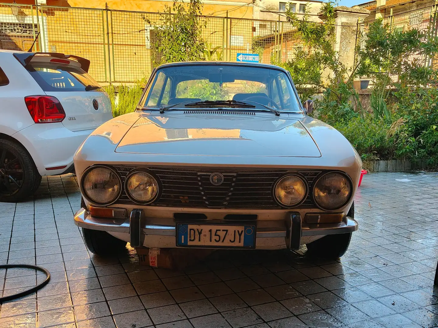 Alfa Romeo 2000 Gt2000veloce ASI e crs e revisione Weiß - 2