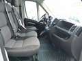 Fiat Ducato L2H2 Grau - thumbnail 8