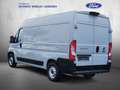 Fiat Ducato L2H2 Grau - thumbnail 2