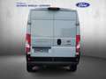 Fiat Ducato L2H2 Grau - thumbnail 3