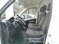 Fiat Ducato L2H2 Grau - thumbnail 6