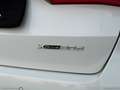 BMW X1 xDrive 20d xLine Blanc - thumbnail 13