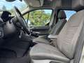 Ford Tourneo Connect Compact 1.0 Turbo Titanium Panoramadak / Parkeerse Grau - thumbnail 17